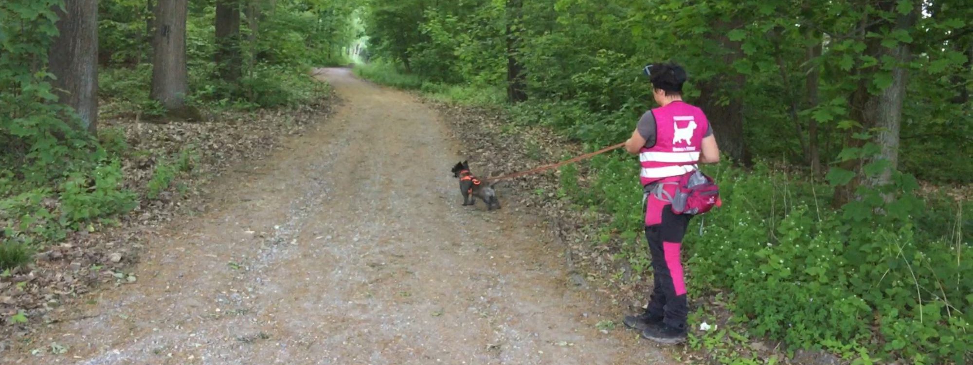 You are currently viewing 8. und 9. November in Herford: Schnupperseminar Mantrailing